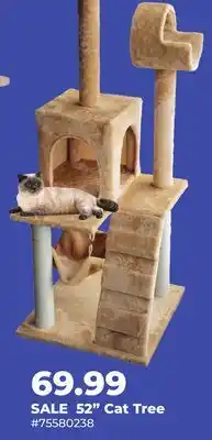 Runnings Main St. Pet 52 Cat Tree offer