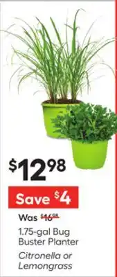 Lowe's Bug Buster Planter offer