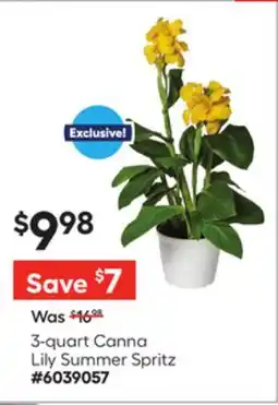 Lowe's Lily Summer Spritz offer