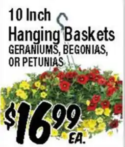 Western Beef 10 Inch Hanging Baskets offer