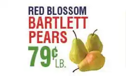 Circus Fruits RED BLOSSOM BARTLETT PEARS offer