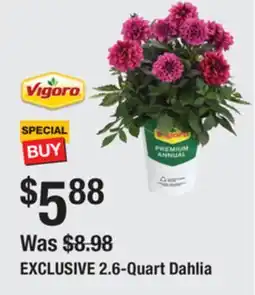 The Home Depot EXCLUSIVE 2.6-Quart Dahlia offer
