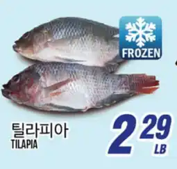 Joong Boo Market TILAPIA offer