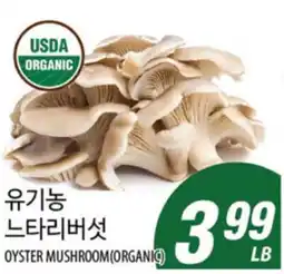 Joong Boo Market OYSTER MUSHROOM(ORGANIC) offer