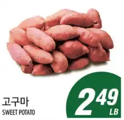 Joong Boo Market SWEET POTATO offer