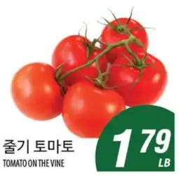 Joong Boo Market 줄기 토마토 offer