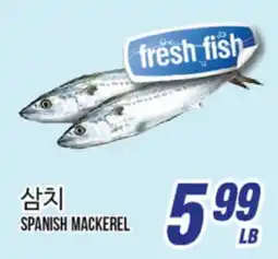 Joong Boo Market SPANISH MACKEREL offer