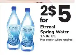 ACME Eternal Spring Water offer