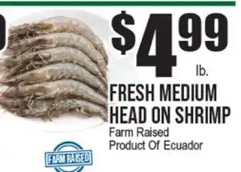 Extra Supermarket FRESH MEDIUM HEAD ON SHRIMP offer