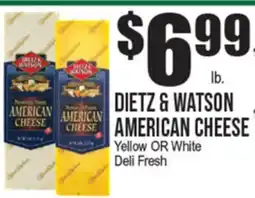 Extra Supermarket DIEBTZ & WATSON AMERICAN CHEESE offer