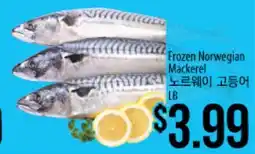 Hmart Frozen Norwegian Mackerel offer