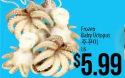 Hmart Frozen Baby Octopus offer