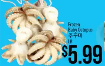 Hmart Frozen Baby Octopus offer