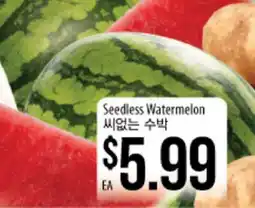 Hmart Seedless Watermelon offer