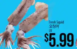 Hmart Fresh Squid offer