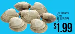 Hmart Live Top Neck Clams offer