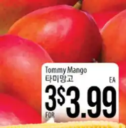 Hmart Tommy Mango offer
