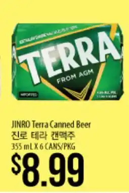 Hmart JINRO Terra Canned Beer offer