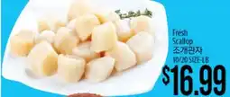 Hmart Fresh Scallop offer