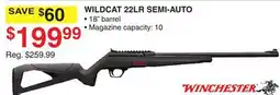 Dunham's Sports WINCHESTER WILDCAT 22LR SEMI-AUTO offer