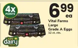Safeway Vital Farms Large Grade A Eggs offer