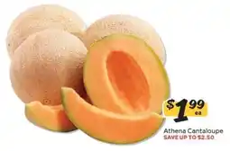 Winn Dixie Athena Cantaloupe offer