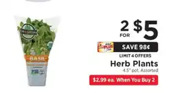 ShopRite Herb Plants offer