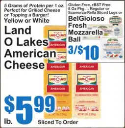 SuperFresh Land O Lakes American Cheese offer