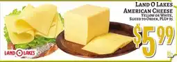 Trade Fair Supermarket LAND O LAKES AMERICAN CHEESE offer