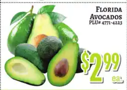 Trade Fair Supermarket FLORIDA AVOCADOS offer