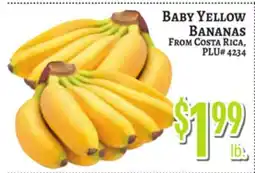 Trade Fair Supermarket BABY YELLOW BANANAS offer