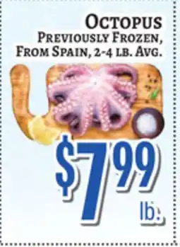 Trade Fair Supermarket Octopus offer