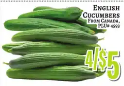 Trade Fair Supermarket ENGLISH CUCUMBERS offer