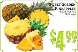 Trade Fair Supermarket Sweet Golden Pineapples offer