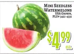 Trade Fair Supermarket MINI SEEDLESS WATERMELONS offer