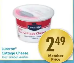 Safeway Lucerne Cottage Cheese offer