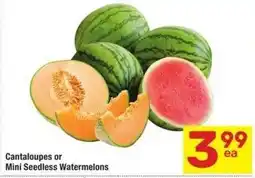 Albertsons Cantaloupes or Mini Seedless Watermelons offer
