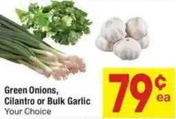 Albertsons Green Onions, Cilantro or Bulk Garlic offer