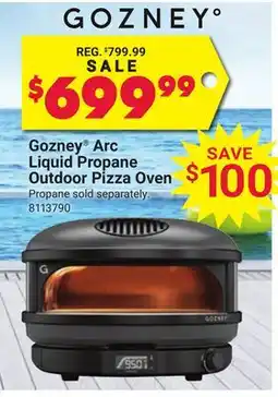 Ace Hardware Gozney Arc Liquid Propane Outdoor Pizza Oven offer
