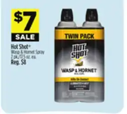 Dollar General Hot Shot Wasp & Hornet Spray offer