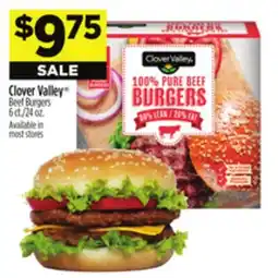 Dollar General Clover Valley Beef Burgers offer