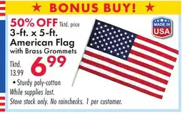 Boscov's 3-ft. x 5-ft. American Flag offer