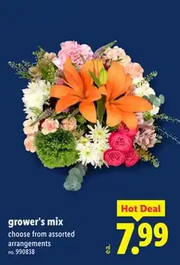 Lidl grower's mix offer