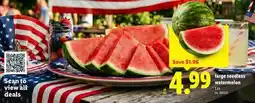 Lidl large seedless watermelon offer