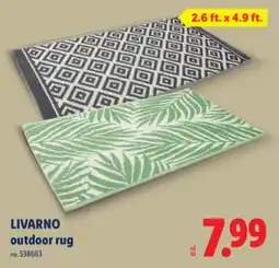 Lidl LIVARNO outdoor rug offer