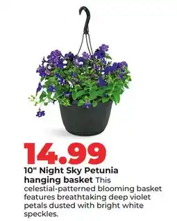Hy-Vee 10 Night Sky Petunia hanging basket offer