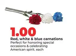 Hy-Vee Red, white & blue carnations offer