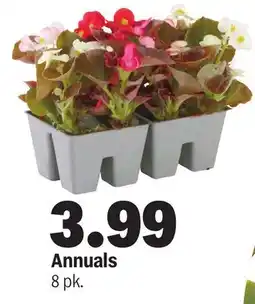 Meijer Annuals offer