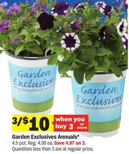 Meijer Garden Exclusives Annuals offer