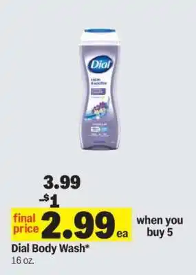 Meijer Dial Body Wash offer